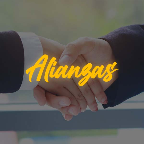 Alianzas de servicios especializados